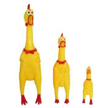 buy pet toys online