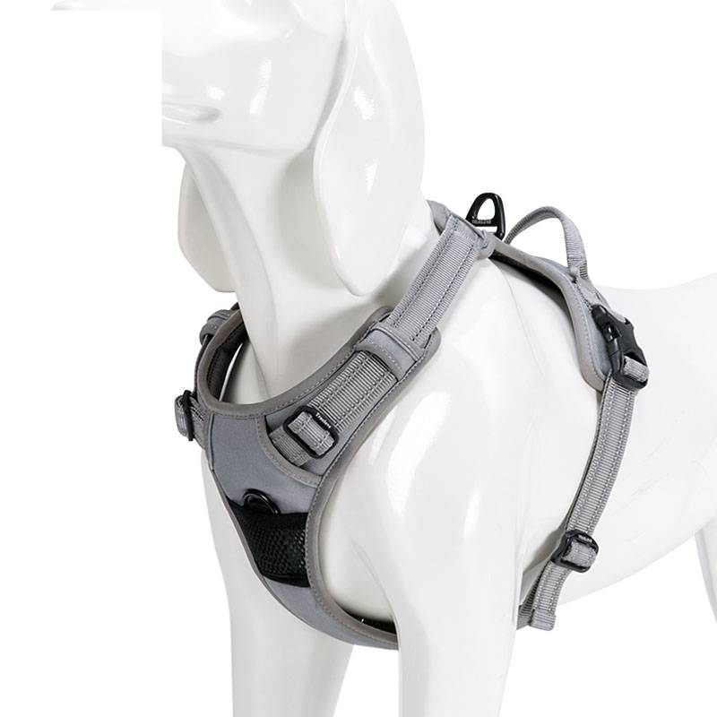 Dog's Reflective Nylon Harness - Its All For Pets