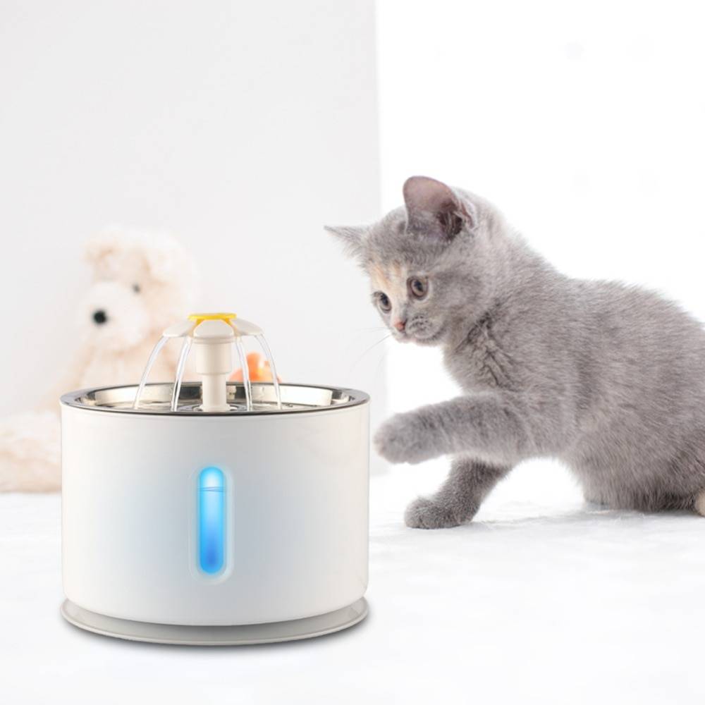 2 4L Automatic Cat Water Fountain Its All For Pets   951 Ce4f4360fe5c9f19257c61f5758d0ace 