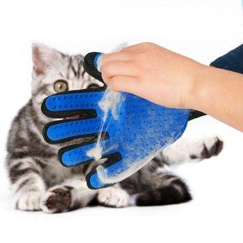 buy cat supplies online